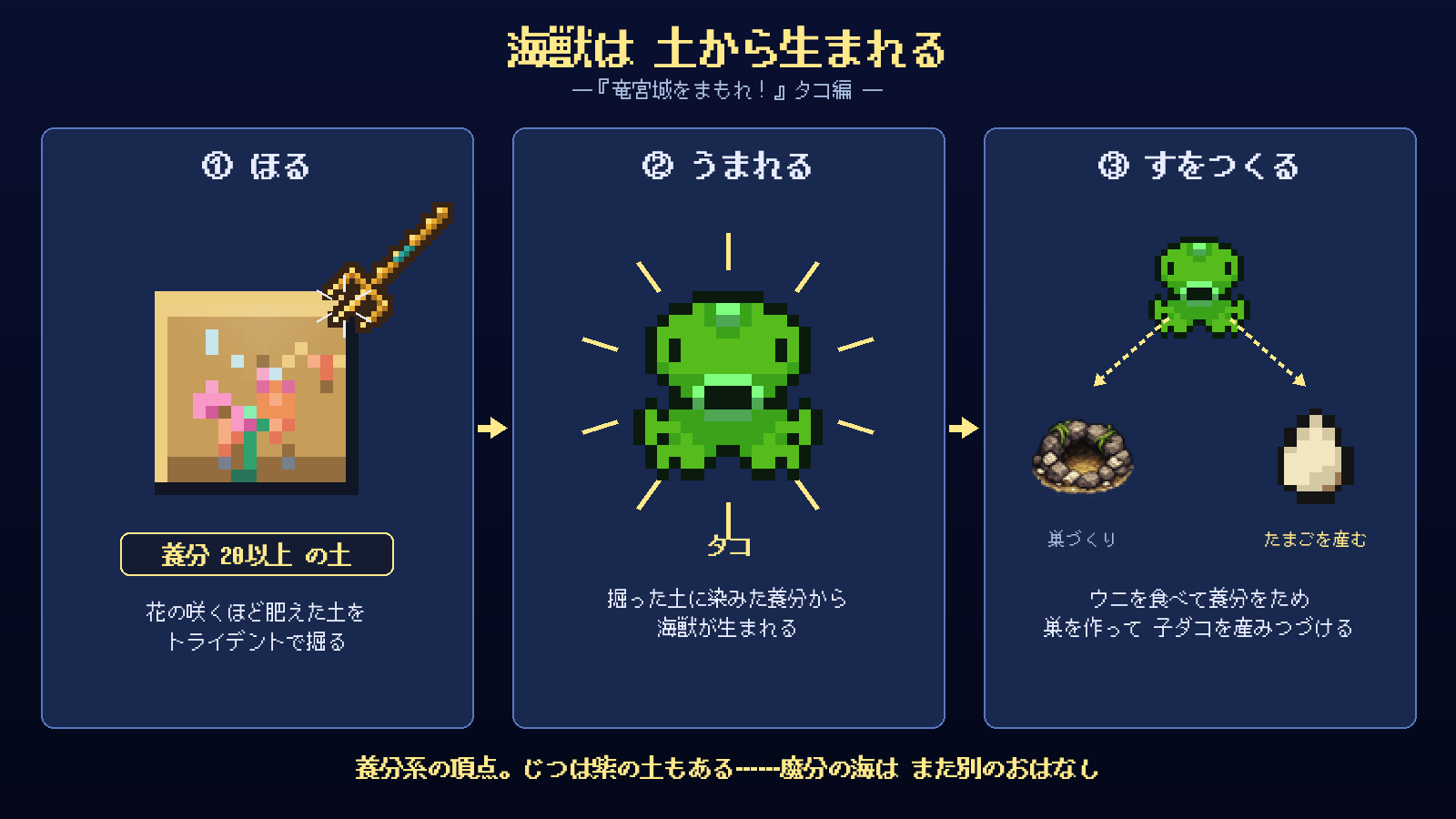 タコはウニを食べ、巣を作って子ダコを産みつづけます