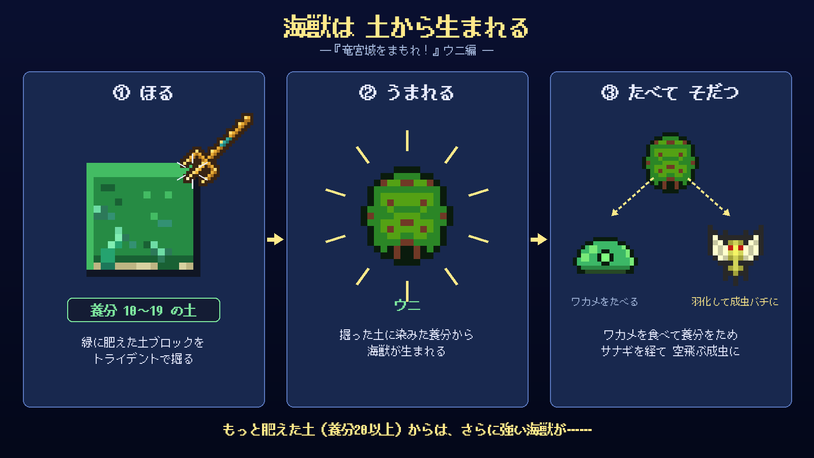 ウニはワカメを食べて育ち、サナギを経て成虫のハチになります
