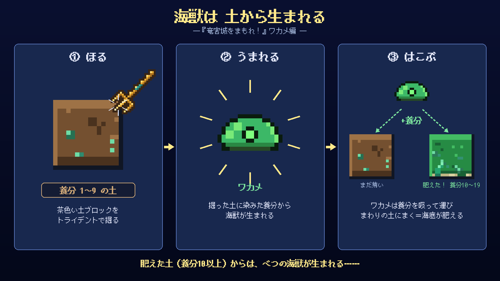 薄い養分の土からはワカメ。生態系の土台になります